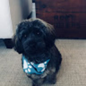 Meet your Posher, Anna7110